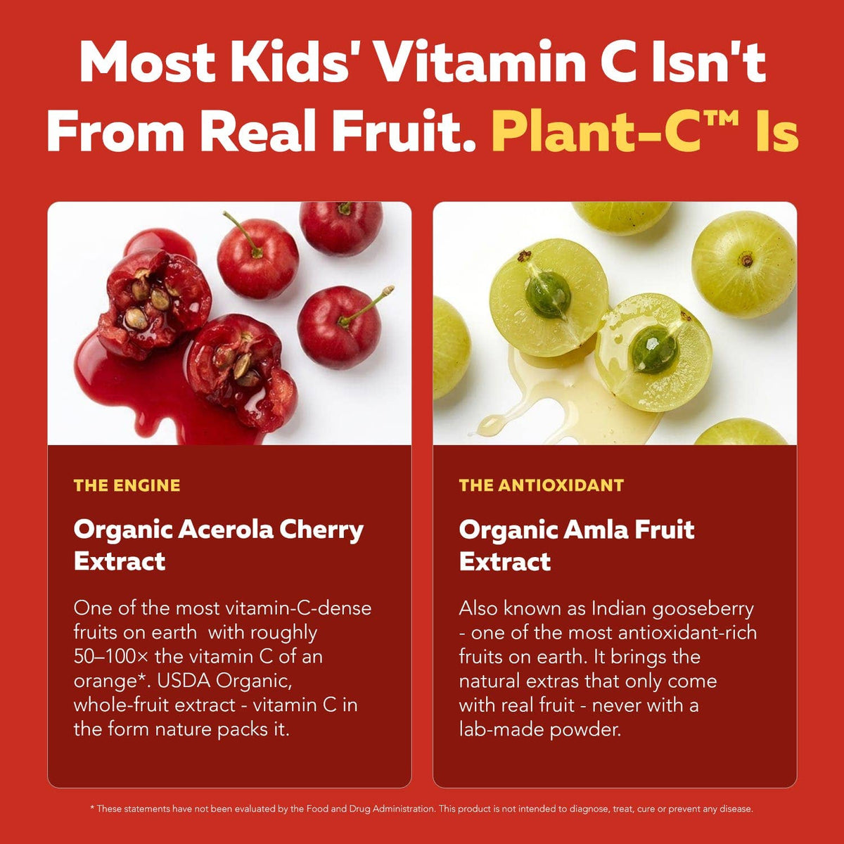 Plant C™ Kids - Whole-Food Vitamin C Liquid Drops