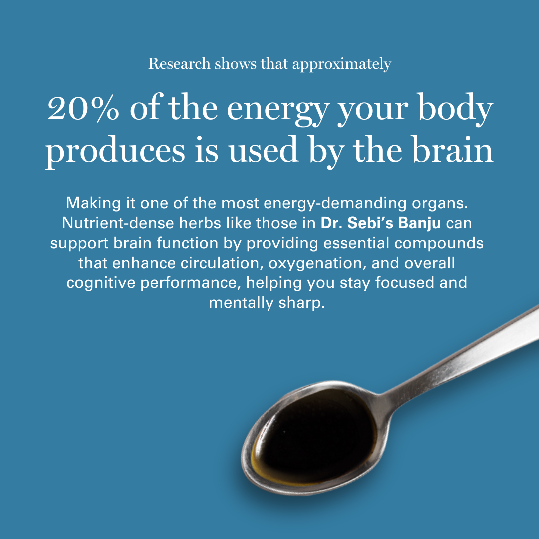 Banju — Brain & Nervous System Support