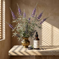 Chaste Tree (Vitex) | Hormone Balance & Cycle Support