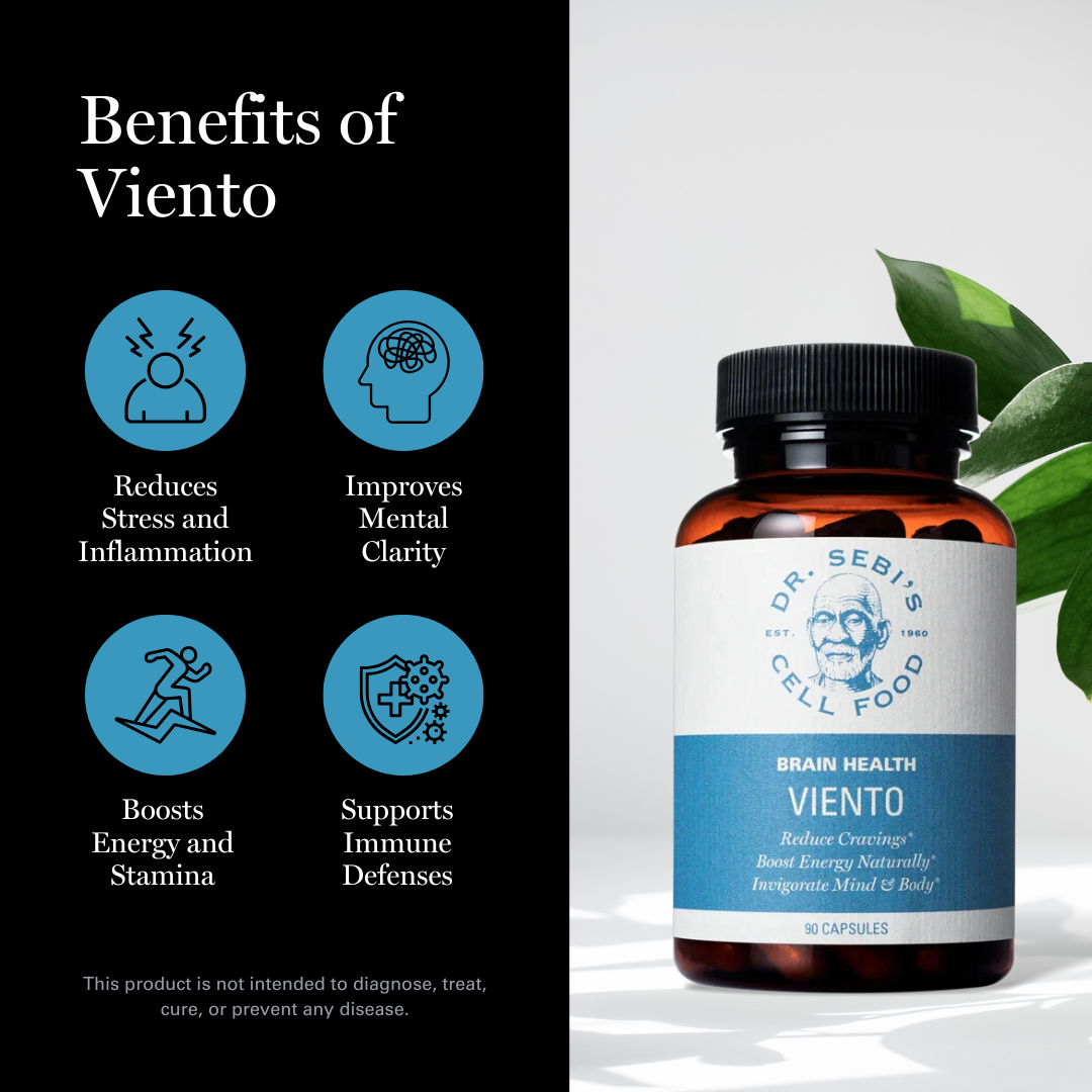 Viento - Daily Energy & Cognitive Support