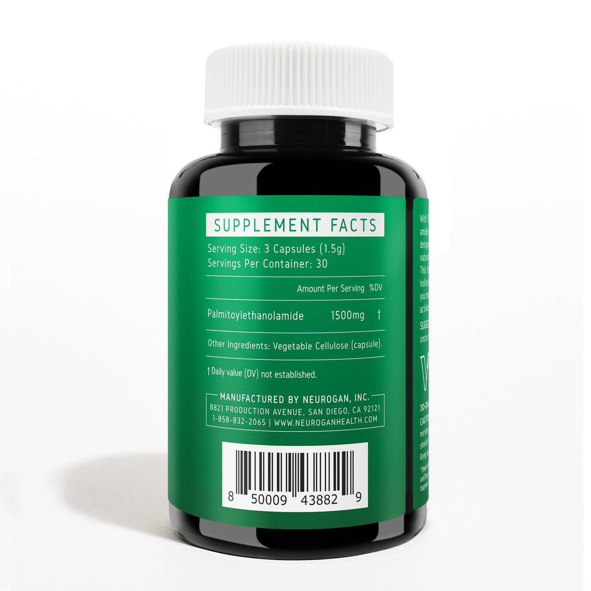 PEA Palmitoylethanolamide Capsules | Brain Health Support