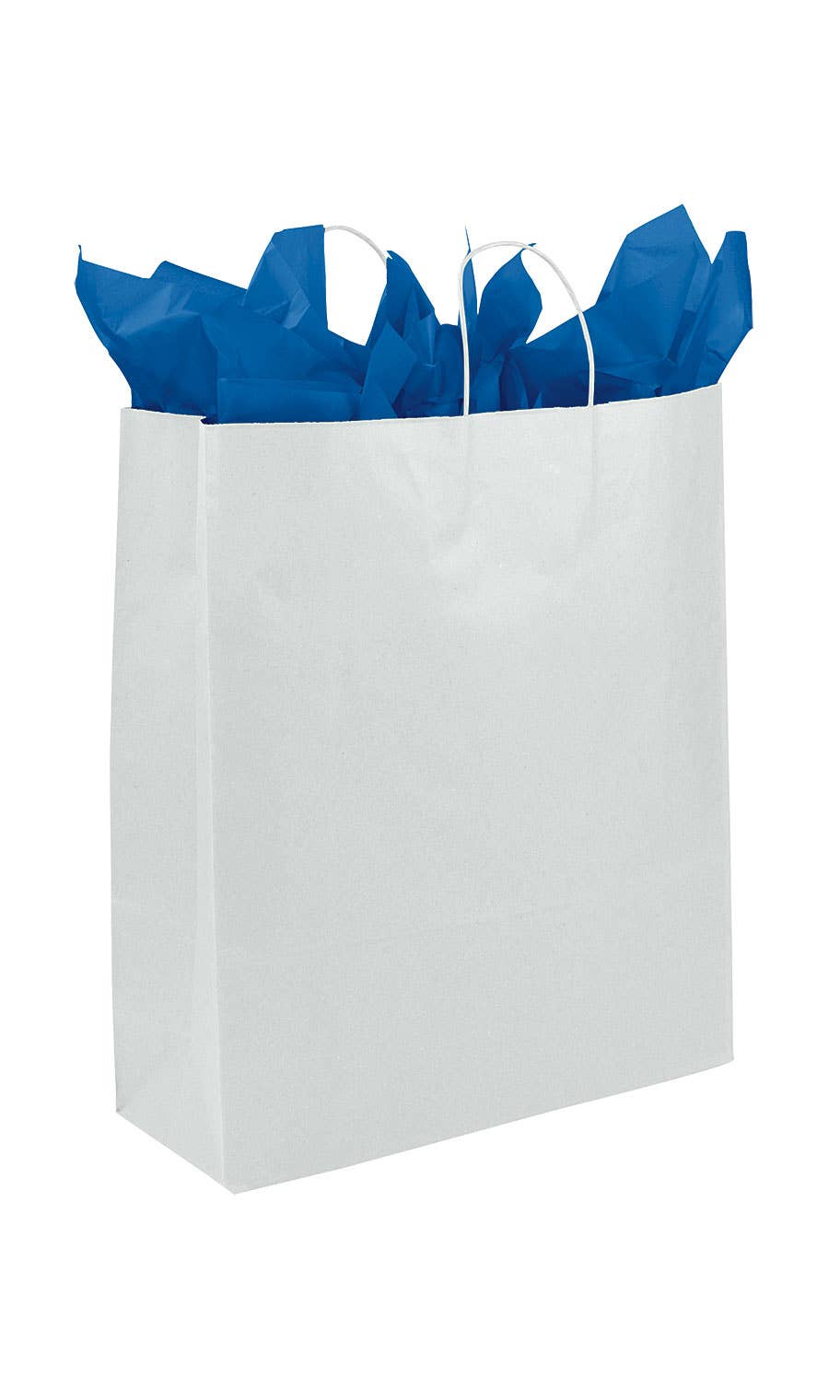Kraft Paper Shopping Bags