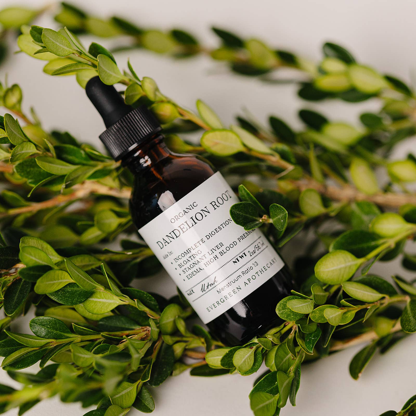 Dandelion Root Tincture, 2oz, Alcohol Free