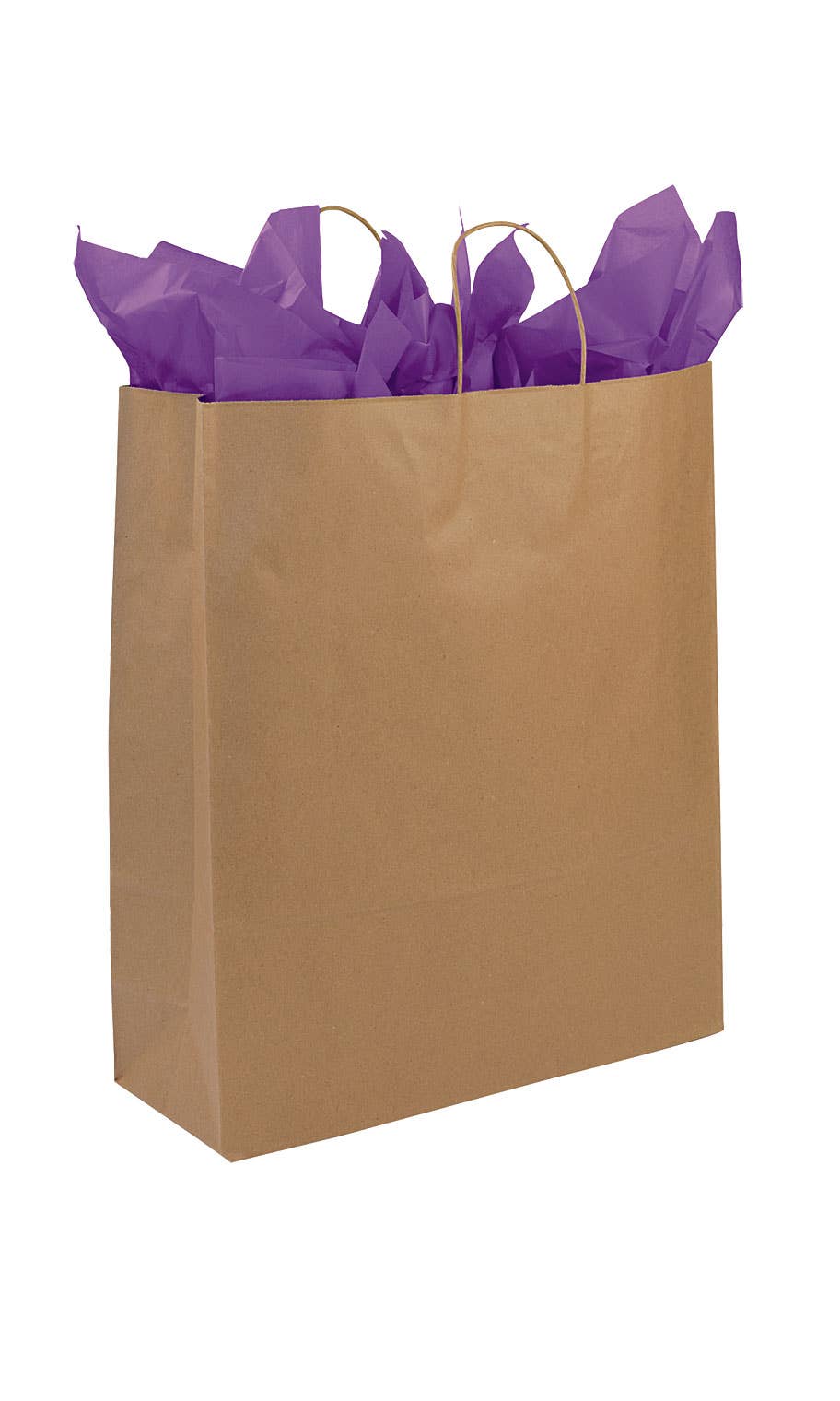 Kraft Paper Shopping Bags