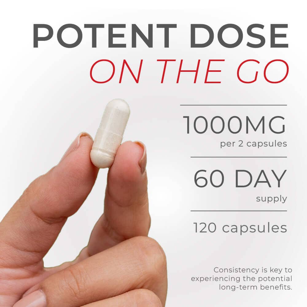 Urolithin A Pro Capsules | High Strength Mitophagy Support