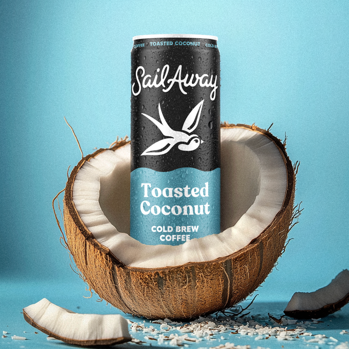 Cold Brew Coffee Cans - Toasted Coconut
