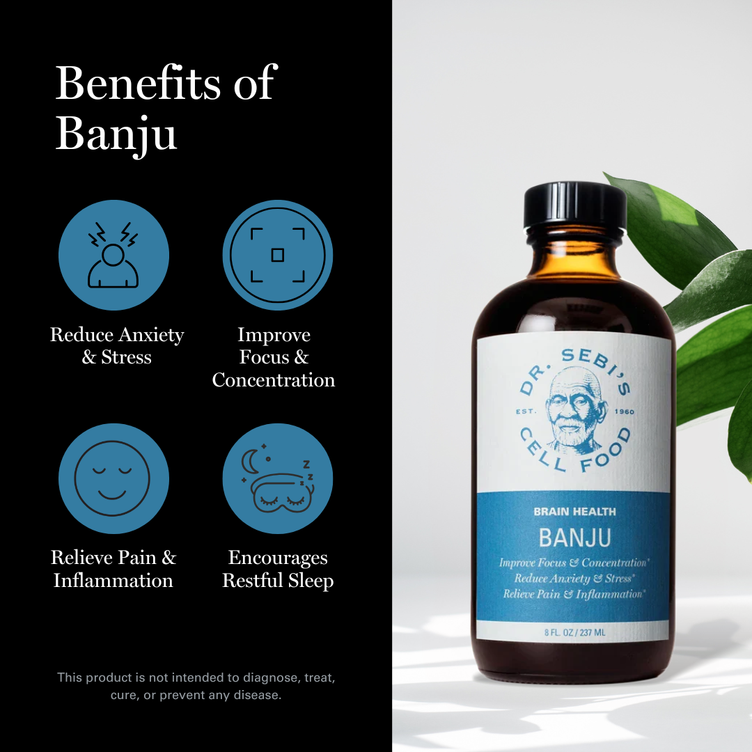 Banju — Brain & Nervous System Support