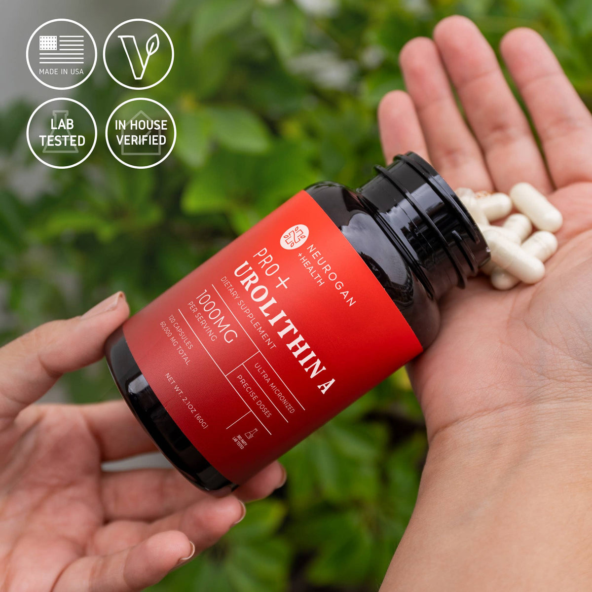 Urolithin A Pro Capsules | High Strength Mitophagy Support