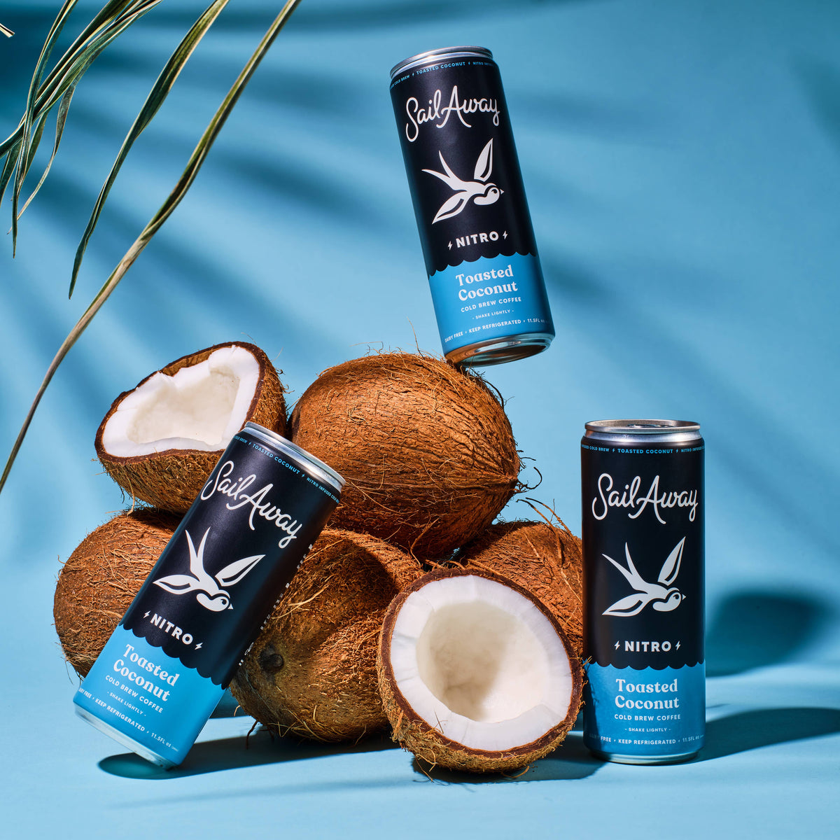 Cold Brew Coffee Cans - Toasted Coconut