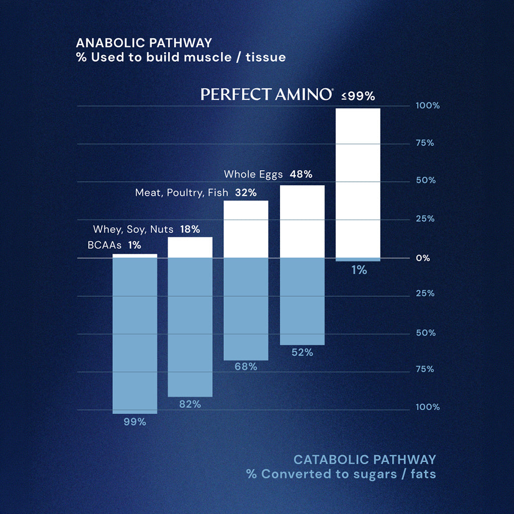 BodyHealth Perfect Amino Tablets (Coated)