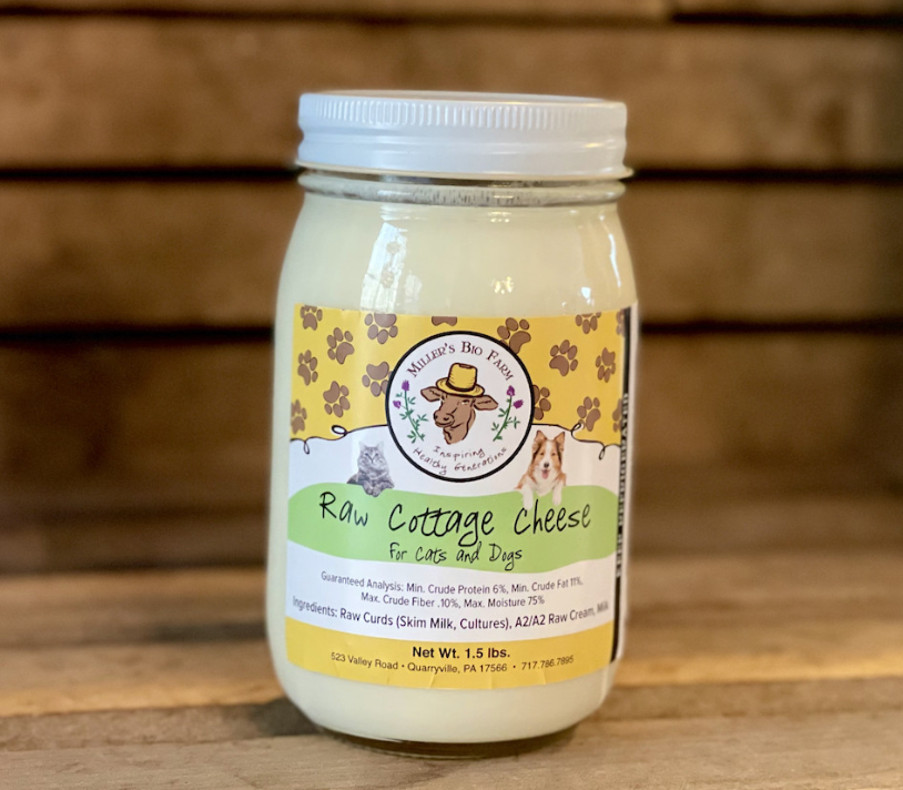 1 pint - Raw Unsalted A2/A2 Cottage Cheese (Glass)