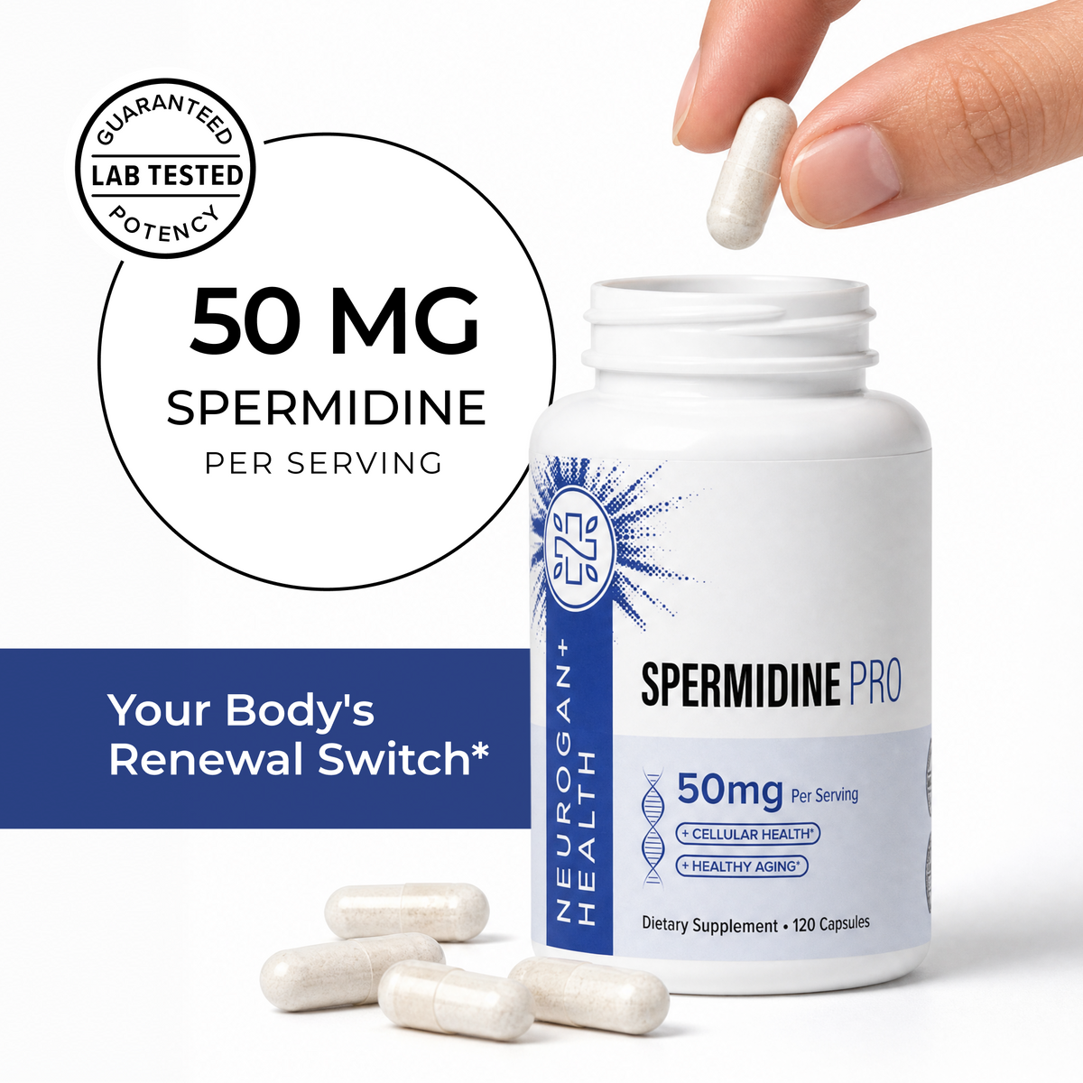 Spermidine Pro Capsules