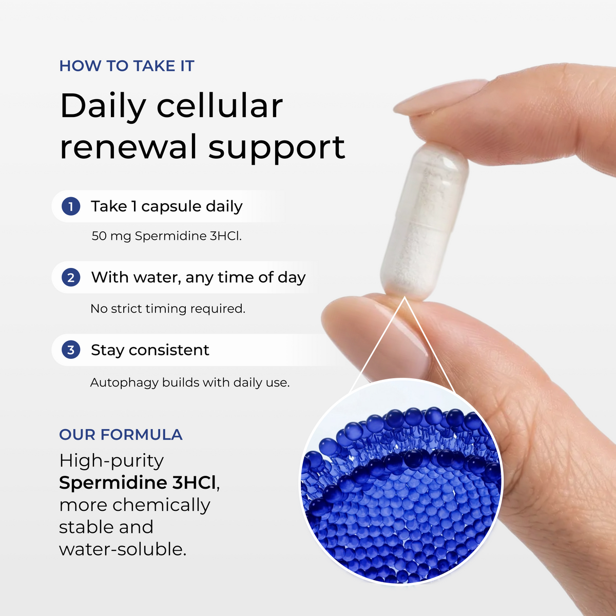 Spermidine Pro Capsules