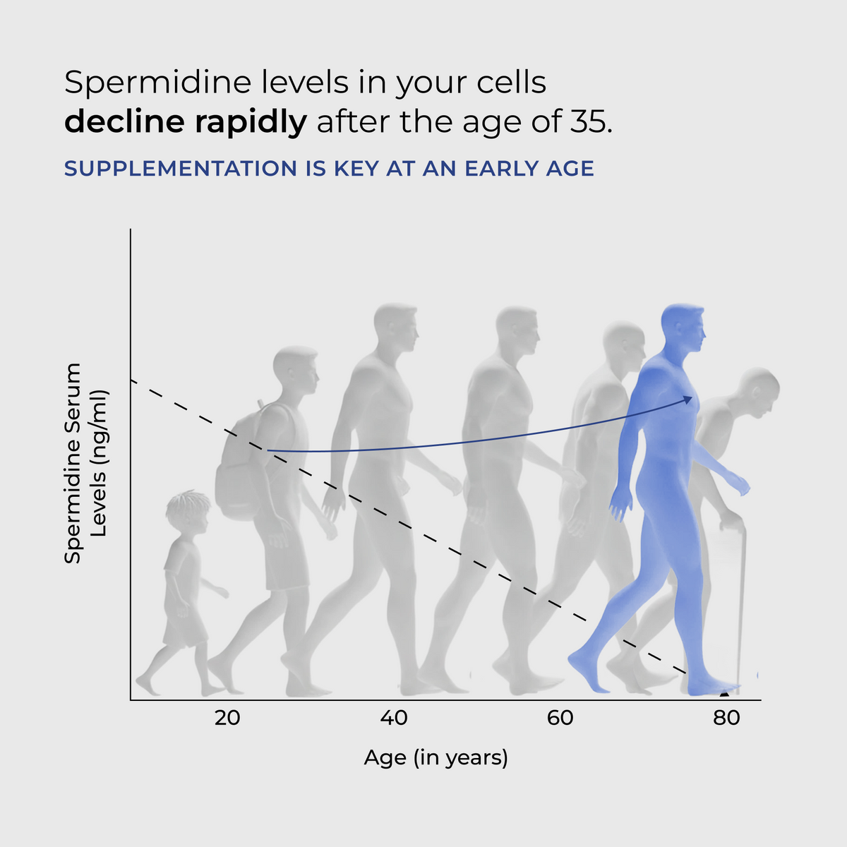 Spermidine Pro Capsules