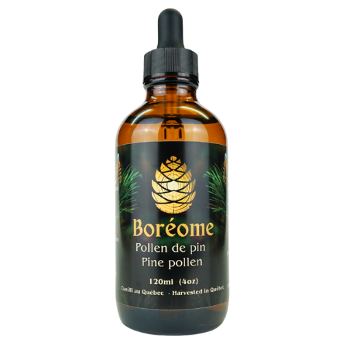 Boréome Pine Pollen Tincture — 2 oz