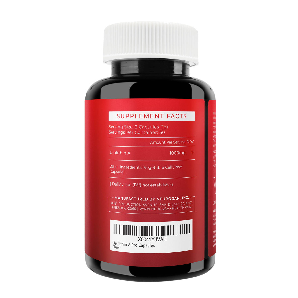 Urolithin A Pro Capsules | High Strength Mitophagy Support