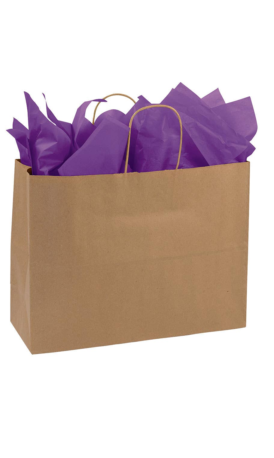 Kraft Paper Shopping Bags