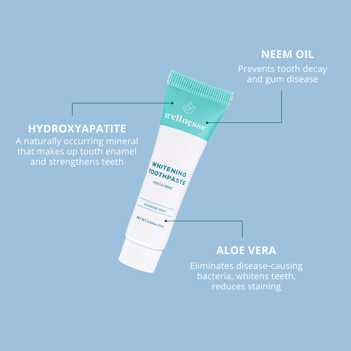 Dental Patient Pack - Fluoride-Free, Natural, Wholesale