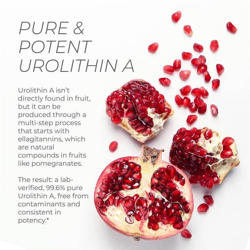 Urolithin A Pro Capsules | High Strength Mitophagy Support