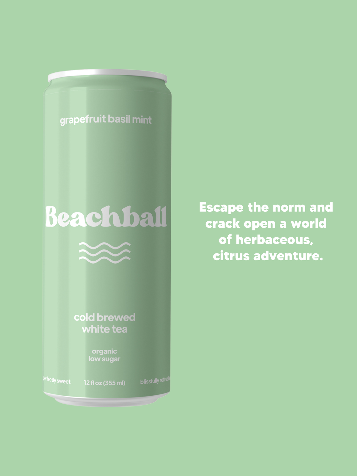 Beachball Organic Iced Tea (Variety Pack)- Case of 12