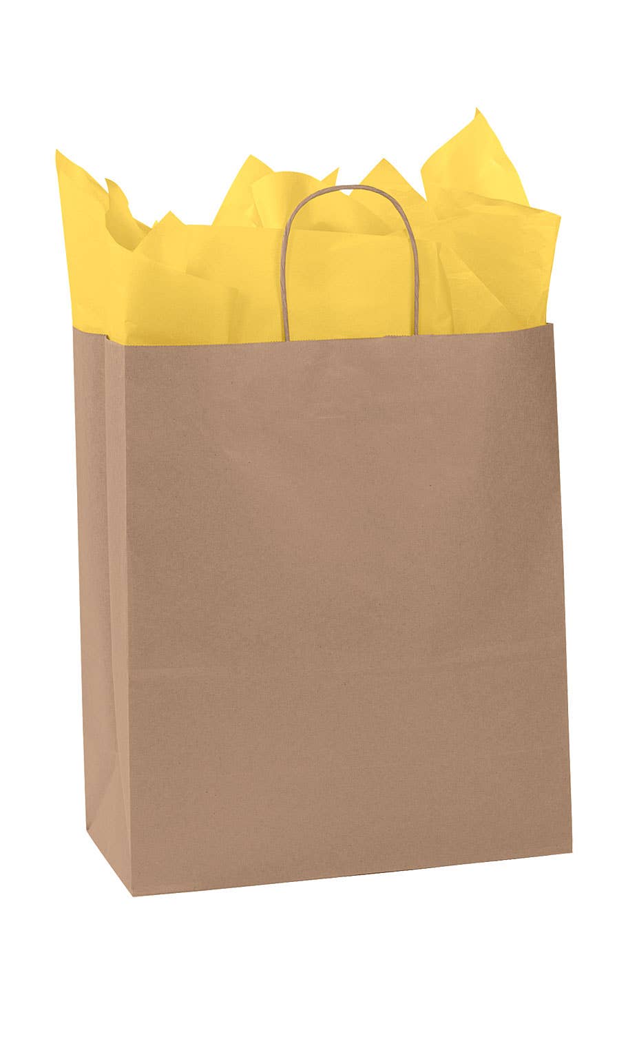 Kraft Paper Shopping Bags