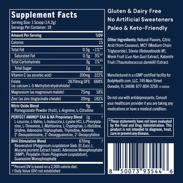 Body Health-PERFECT AMINO PRE-WORKOUT